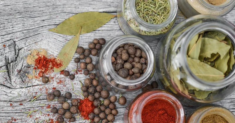Dürfen Hunde rohe Paprika essen — und wie sieht es mit gekochter aus?