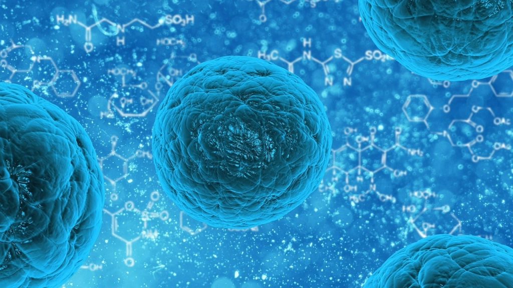 entdecken sie umfassende informationen und innovationen im gesundheitswesen. erfahren sie mehr über medizinische dienstleistungen, patientenversorgung und aktuelle trends für eine bessere gesundheit.